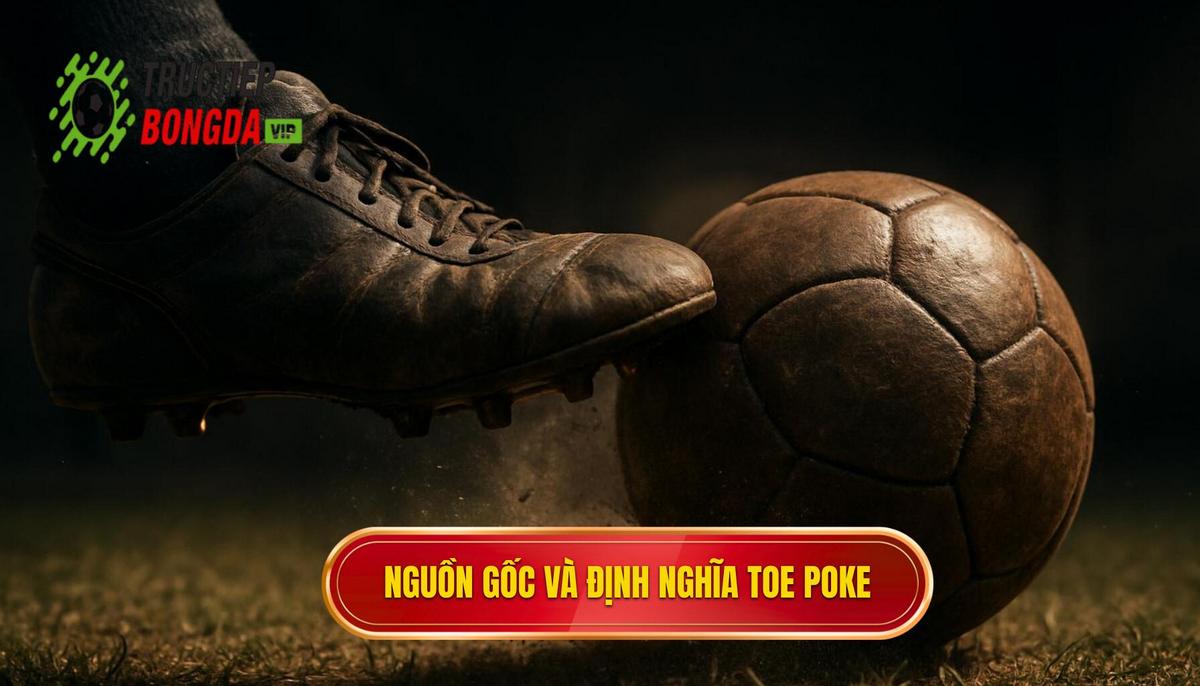 Nguồn gốc và định nghĩa chuyên môn của Toe Poke